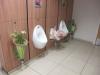 urinal, plant, bathroom, lol