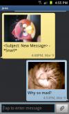 angry bird, cat, text message