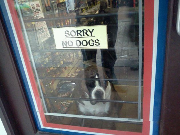 sorry no dogs, sign, rebel