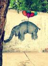 flying elephant, street art de rue, graffiti