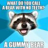 bad pun racoon, gummy bear, wordplay, meme, bear with no teeth
