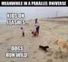 meanwhile, parallel universe, kids on leashes, dogs run wild