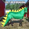 horse, costume, dragon, wtf, lol, meme