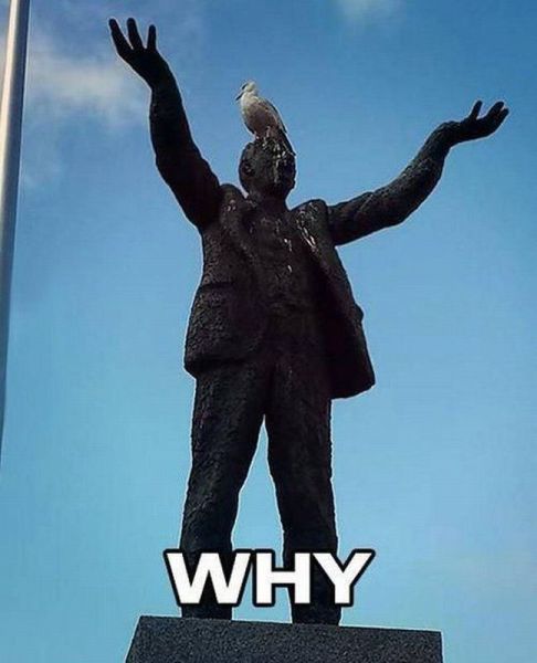statue, pigeon, why, meme