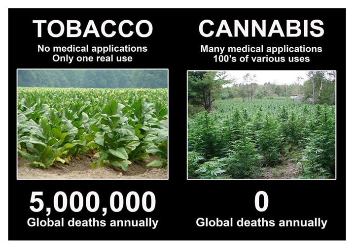tobacco, cannabis, deaths