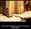 harry potter, potterception, movie, actor, book