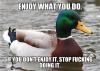actual advice mallard, meme, enjoy what you do