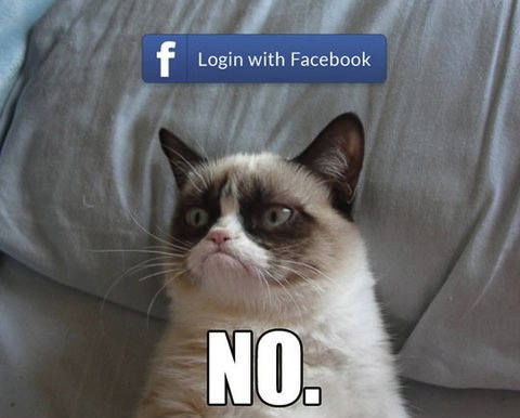 grumpy cat, no, login with facebook, meme