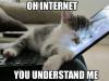oh internet, you understand me, kitten sleeping on laptop, meme