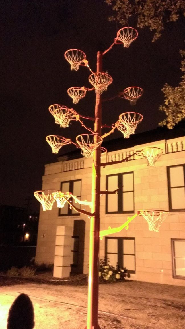 basketball tree, wtf