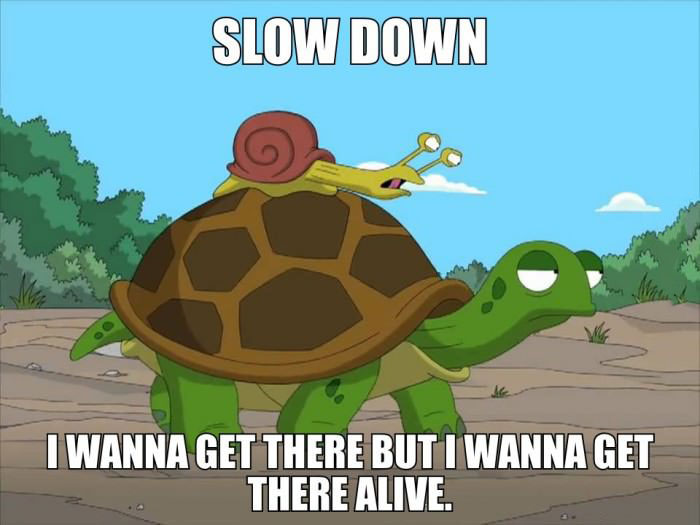 snail riding a turtle, slow down, meme