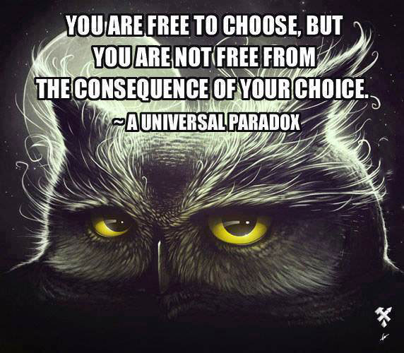 free to choose, consequences, paradox, expression, owl