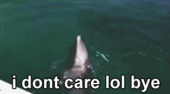 gif, dolphin, i don't care lol bye