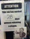 lab, 28 days without a plague, sign, lol, thumbs up
