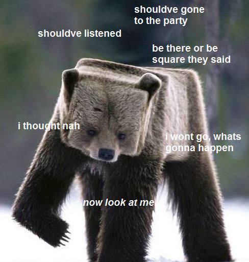 square bear, wtf, uncool