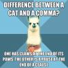 difference between a cat and a comma?, one has claws at the end of its paws, the other is a pause at the end of a clause, meme