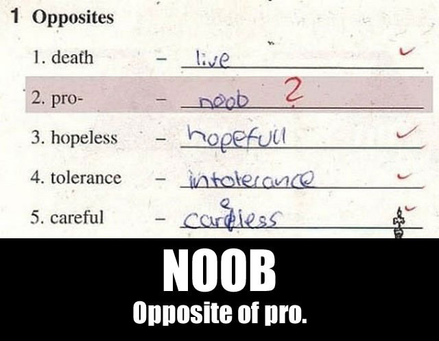 opposites, pro, noob, test, school