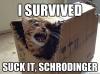 I survived, suck it schrodinger, cat, meme, science joke