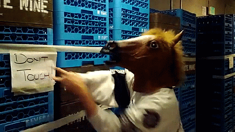 horse mask, don't touch, rebel, gif, wtf