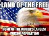 land of the free, meme, home of the world's largest prison population, bald eagle, meme