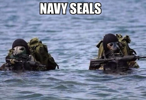 navy seals, literal, photoshop