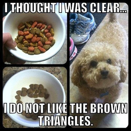 dog, food, meme, brown triangles
