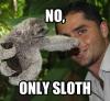 no, only sloth, meme, lol, photobomb