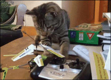 gif, cat, helicopter, scared, fail, lol