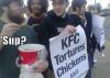 kfc tortures chickens, lol, bucket, protest