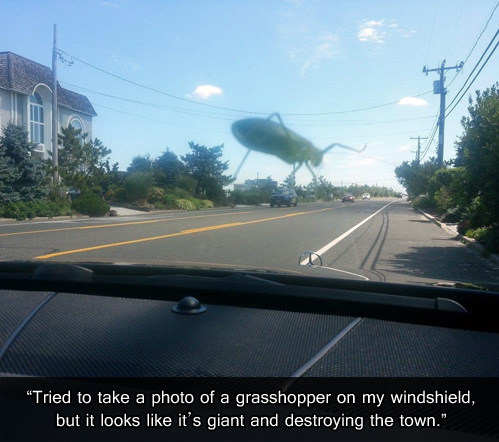 story, bug, insect, grasshopper, giant, destroying the town, lol, perspective