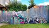 fence, street art, graffiti, colorful, win