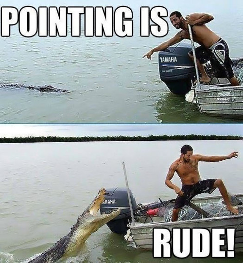pointing is rude, alligator