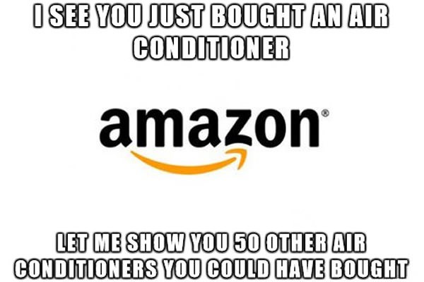 I see that you just bought an air conditioner, let me show you 50 other air conditioners you could have bought, scumbag amazon