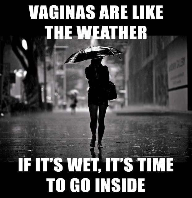 vaginas are like the weather, if it's wet, it's time to go inside