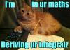 cat, math, calculus, meme