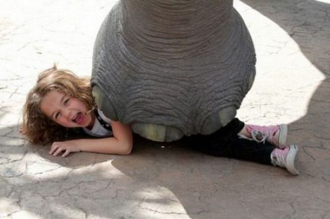 elephant stepping on kid, lol