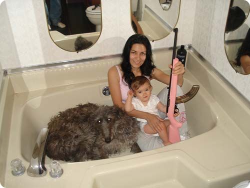 family portrait, wtf, dog, rifle, bath tub