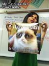 My math teacher is awesome, I love math it makes people cry, grumpy cat, meme