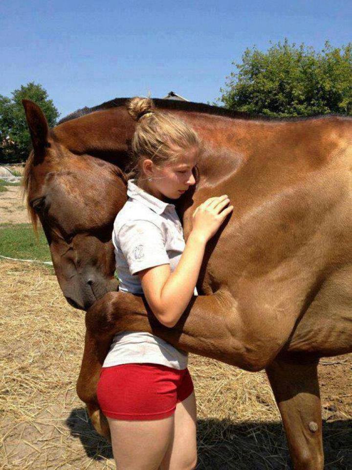 horse hug, girl, love