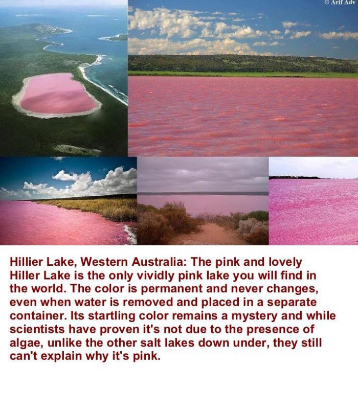 pink lake, story, cool, beautiful