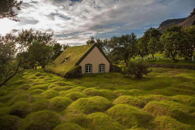 house, grass, green