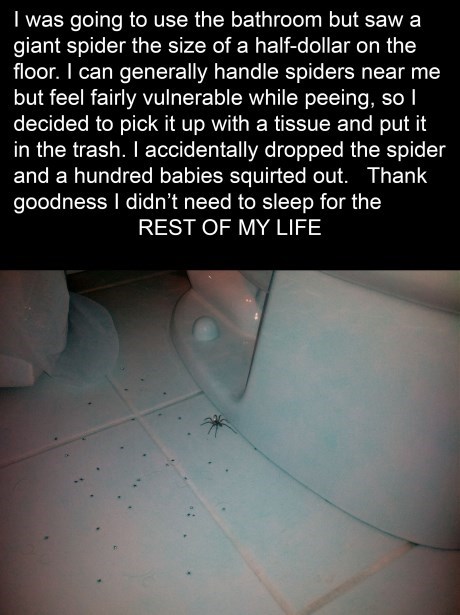 spider, story, bathroom, babies, horror