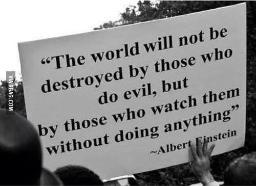 quote, albert einstein, world will be destroyed by those who watch and do nothing