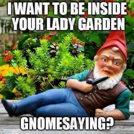 meme, gnome, wordplay, lady garden