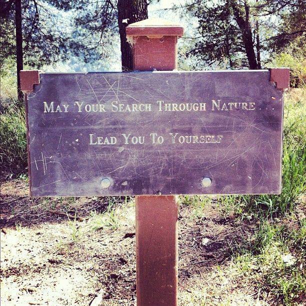 may your search through nature lead you to yourself, sign, forest, trail