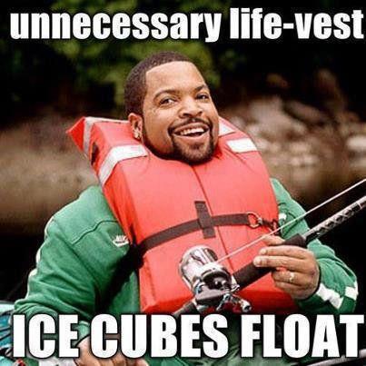 ice cube, floats, unnecessary, lol, water