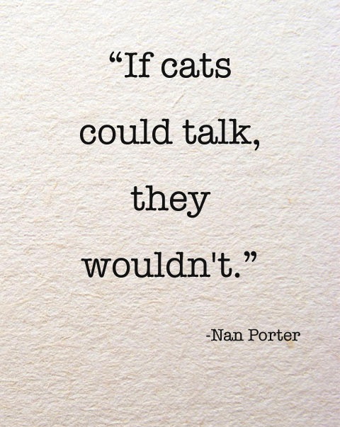 joke, one liner, if cats could talk