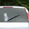 gif, cat, decal, window wipers, clever, cat's tail wagging