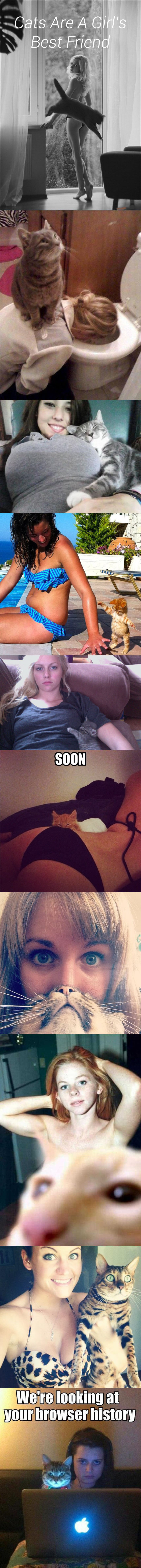 women and cats, compilation, lol, sexy
