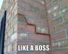 snake, wall, bricks, like a boss